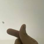 xuannguyen Profile Picture