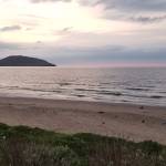 duc9980 Profile Picture