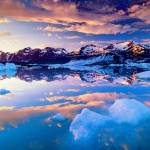 Minh Nguyen Profile Picture