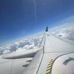 Minh Thanh Profile Picture