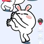 Thy Quynh Profile Picture