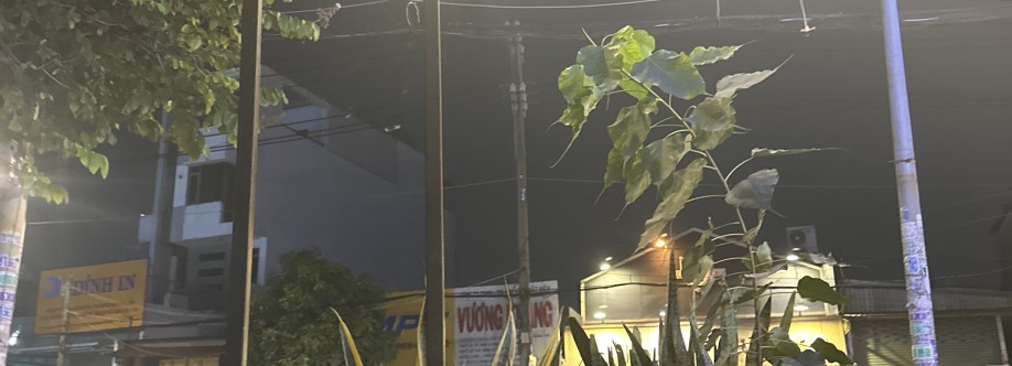 Luna Pahm Cover Image