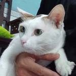 Cường Trần Profile Picture