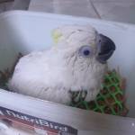 Livatech Ads Profile Picture