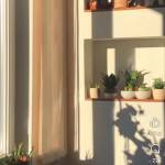 Phuc Hoang Profile Picture