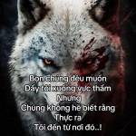 Long Nguyen Profile Picture