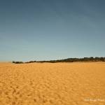 Nam7895123 Profile Picture