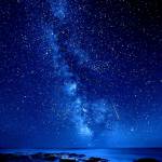 Tâm Lý Profile Picture