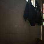 Khuong N Profile Picture