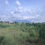 Tuan Trần Profile Picture