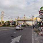 Phuong Le Profile Picture