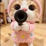 Bảo Trần Profile Picture