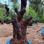 1234anh Profile Picture