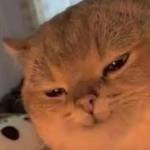 David Jon Profile Picture