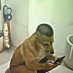 hậu Nguyễn văn Profile Picture