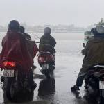 Nguyennguyen31 Profile Picture