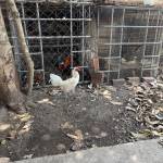 Nguyên Nguyễn Profile Picture