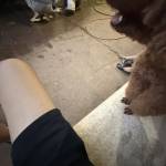 Dũng Nguyễn Profile Picture