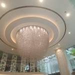 Thanh long Profile Picture