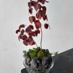 Anh Nguyễn Profile Picture