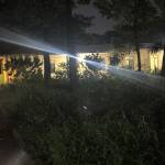 Anh Lê Profile Picture