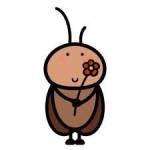 Duy Nguyễn Profile Picture