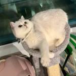 him now Profile Picture