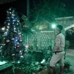 Tai Pham Profile Picture