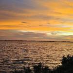 yayami Profile Picture