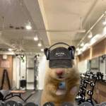 Kihiken2005 Profile Picture