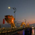 Gia Le Profile Picture