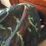 vĩ trần Profile Picture