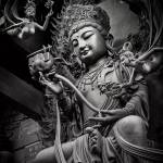 tài trần Profile Picture