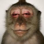 Hoang long Lê Profile Picture