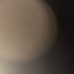 Lol Dam Profile Picture