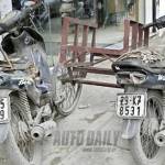 Phan Le ma Profile Picture