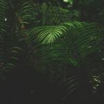 Min Lee Profile Picture