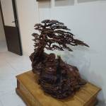 Them lon Cac Profile Picture