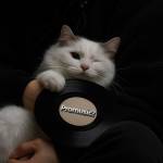 Tam Nguyễn Profile Picture