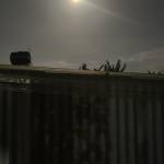 Bi Hoàng Profile Picture