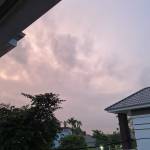 Duc Leee Profile Picture