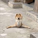 Thiện Nguyễn Đức Profile Picture