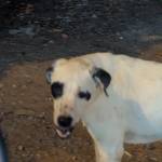 Nguyen1_lm Profile Picture