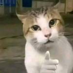 Trung Hieu Do Profile Picture