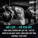 Bảo Nguyễn Profile Picture