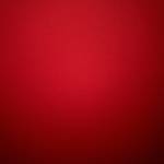 Bảo Kim Profile Picture