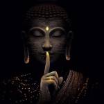 NGUYEN CHI Profile Picture