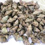 Pom Phan Profile Picture