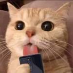 Tn Trn Profile Picture