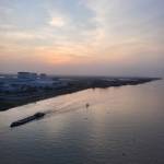 Tai Bui Profile Picture